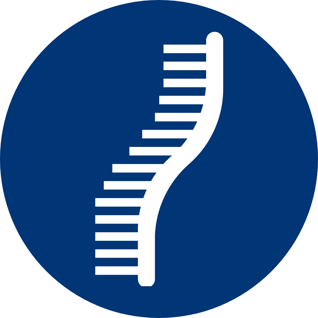 Interprétation et rendu